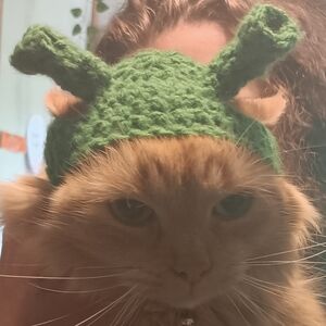 Cat Hats For SALE!!!